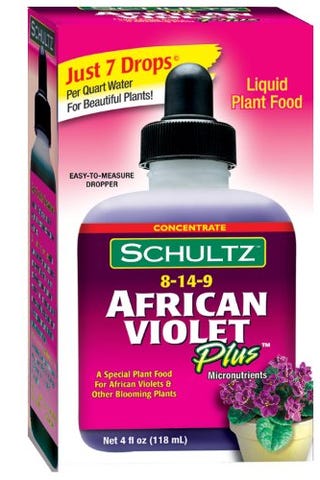 African Violet Food