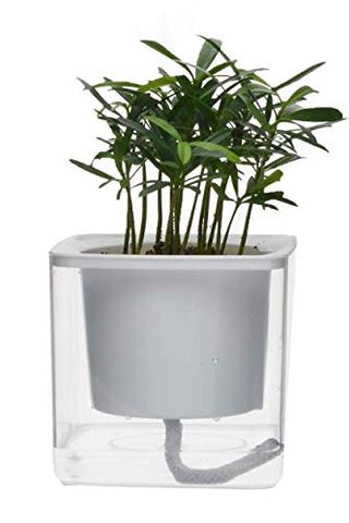 4 inch Self Watering Pot
