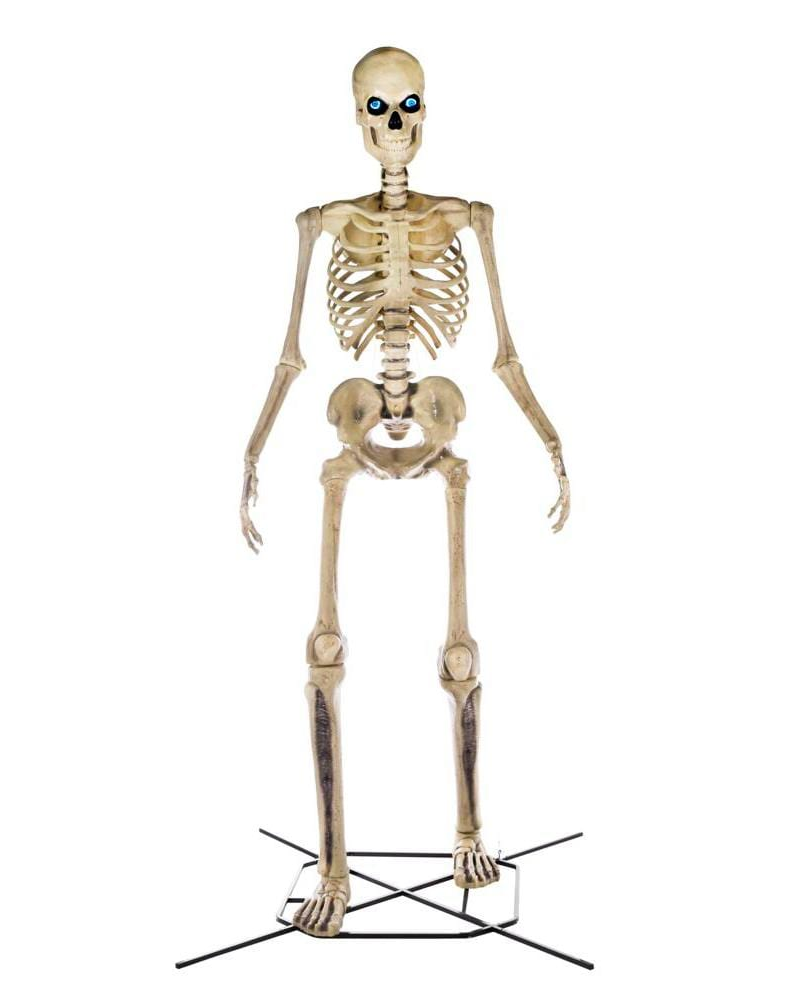 12-Foot Giant-Sized Skeleton with LifeEyes