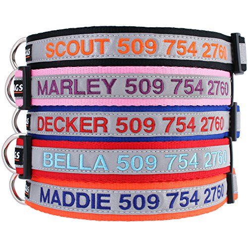 Best personalized dog sales collars