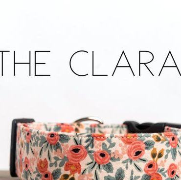 "The Clara" Dog Collar 