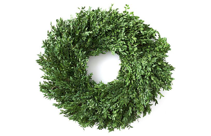 24" Boxwood Wreath, Preserved