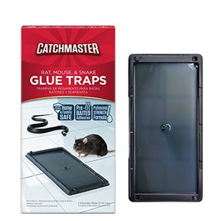 Glue Traps