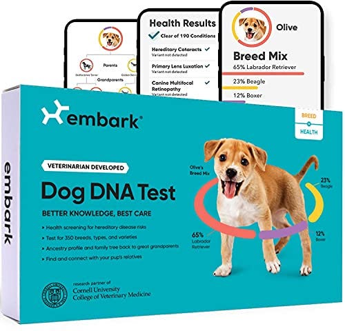 Dog DNA Test