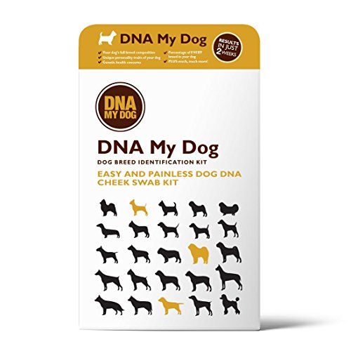 DNA My Dog Canine Breed Identification Test Kit