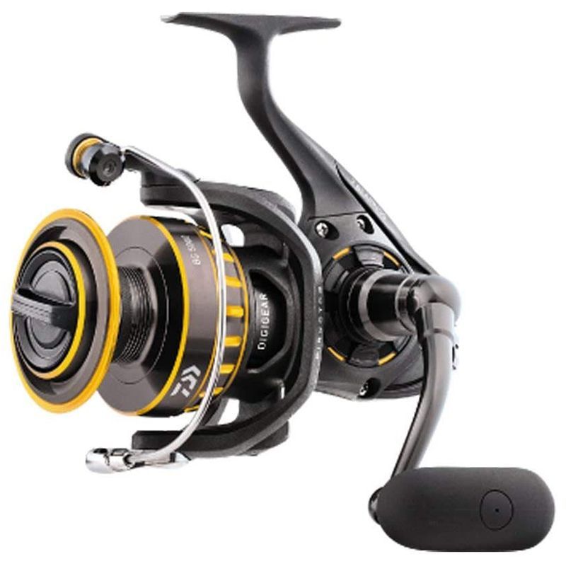 What is a good drag setting on a spinning reel for saltwater