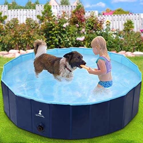 Originales piscinas para perros