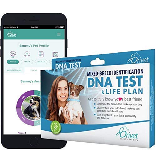 how to test dog dna to determine breed