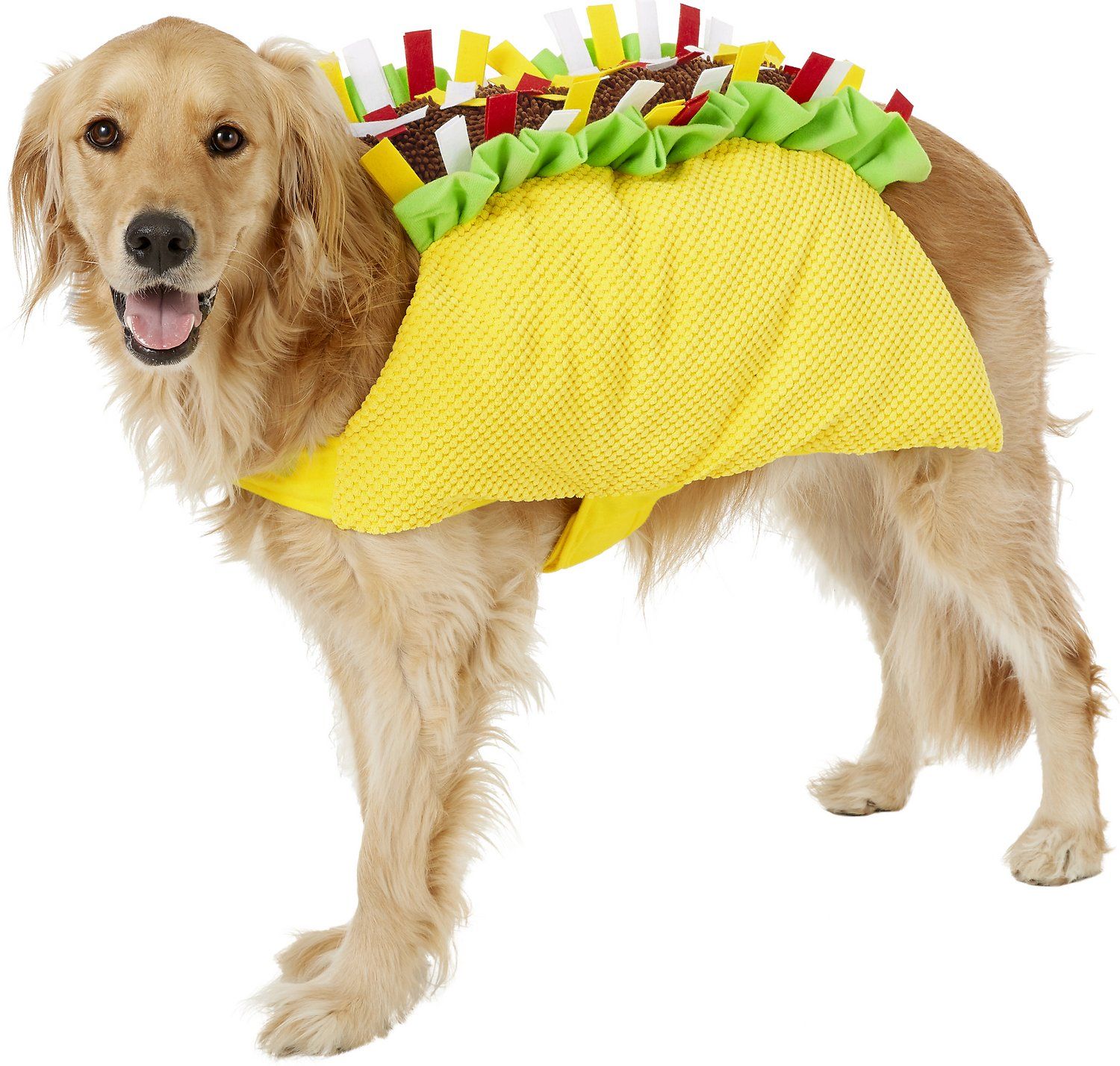 taco dog outfit