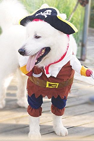 Funny Dog Costume 