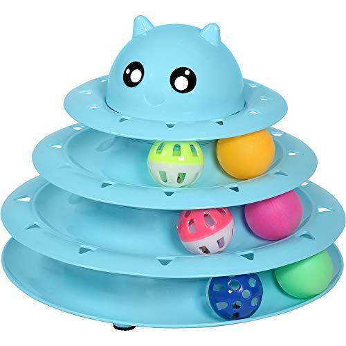 Best Cat Toys  Rover Kitties Put the Industry's Top Toys to the Test