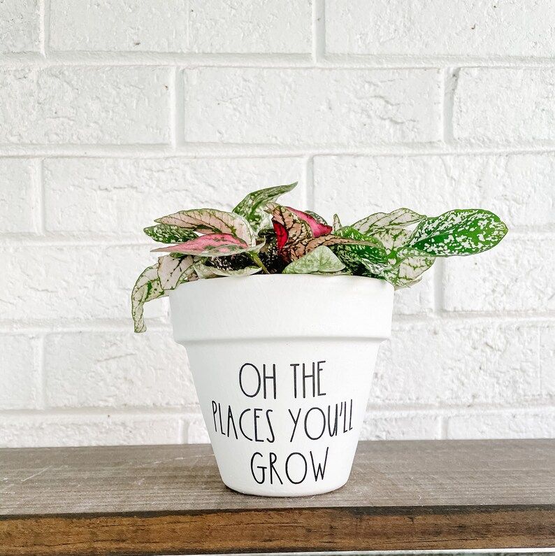 'Oh The Places You'll Grow' Plant Pot