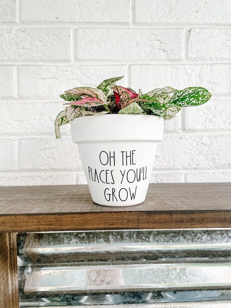 'Oh The Places You'll Grow' Plant Pot