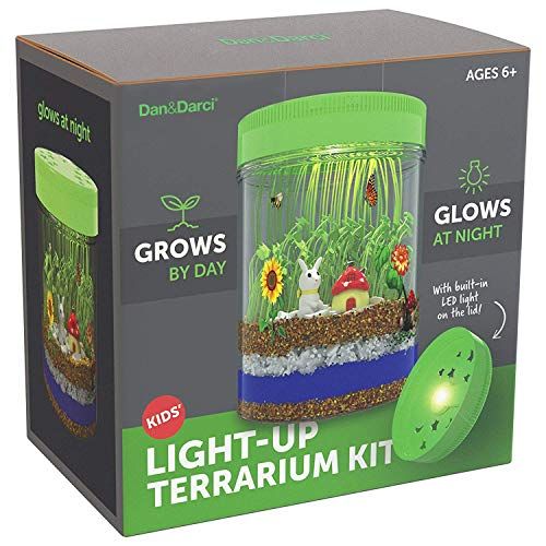 Light-Up Terrarium Kit 