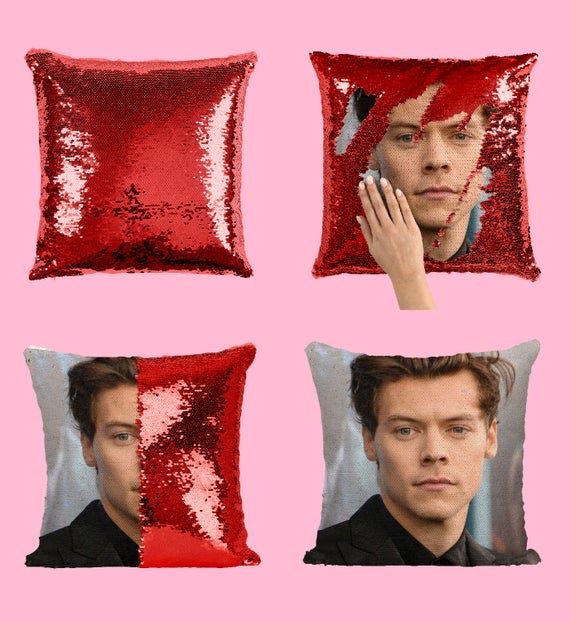 Harry Styles Sequin Pillow 