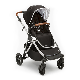 Single-to-Double Stroller