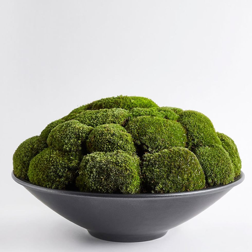 Anthracite Moss Bowl