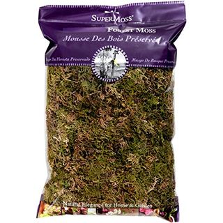 Dried Forest Moss 