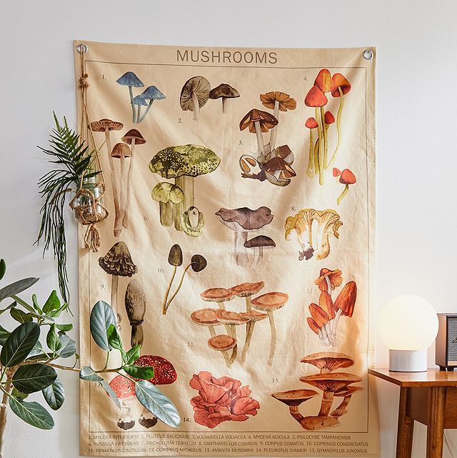 Mushroom Chart Tapestry