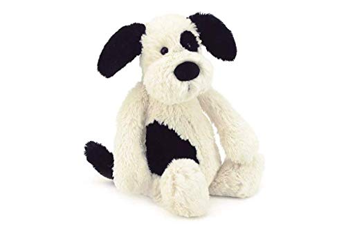 Bashful Black and Cream Puppy