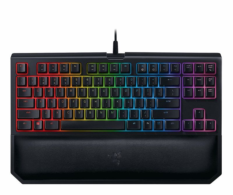 razer blackwidow chroma public