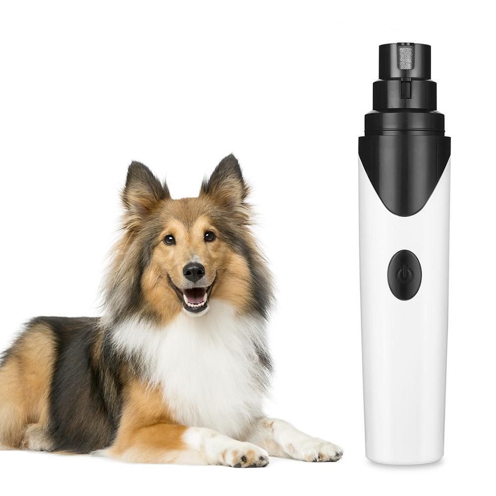 Behold: The Best Dog Nail Clippers You Won't Feel Intimidated to Use