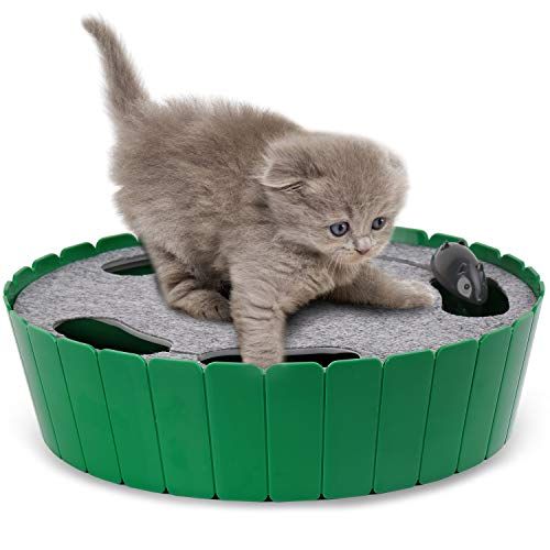 Cat toys deals for bored cats