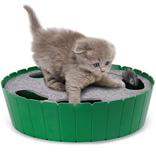 Interactive Motion Cat Toy with Running Mouse