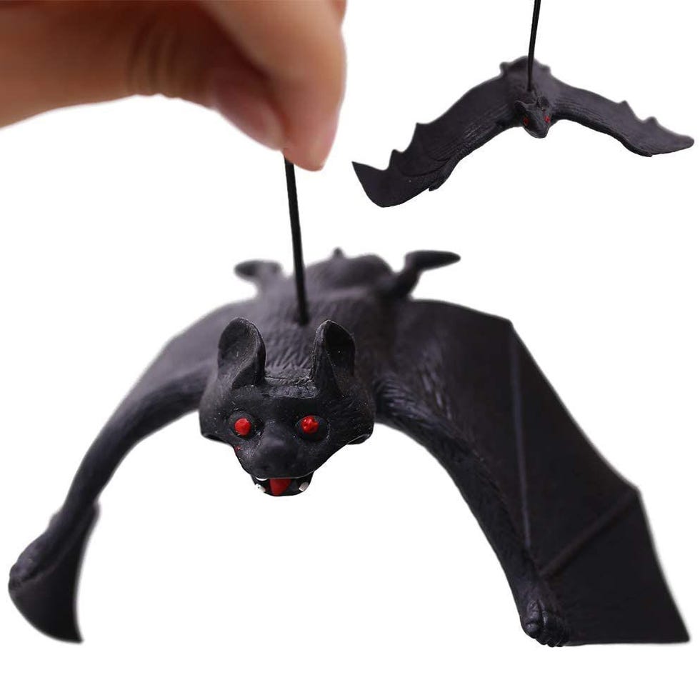 Hanging Vampire Bats Hanging Vampire Bats
