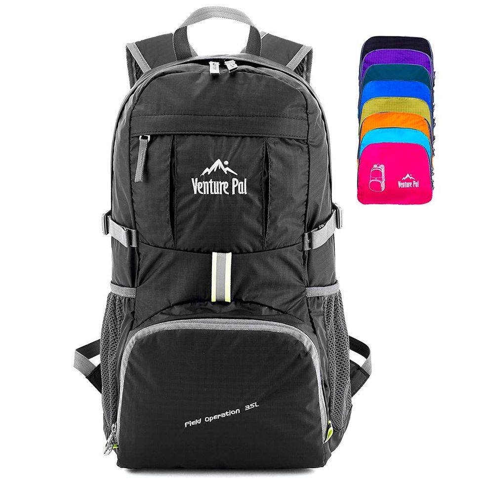 Venture Pal Lightweight Foldable Backpack