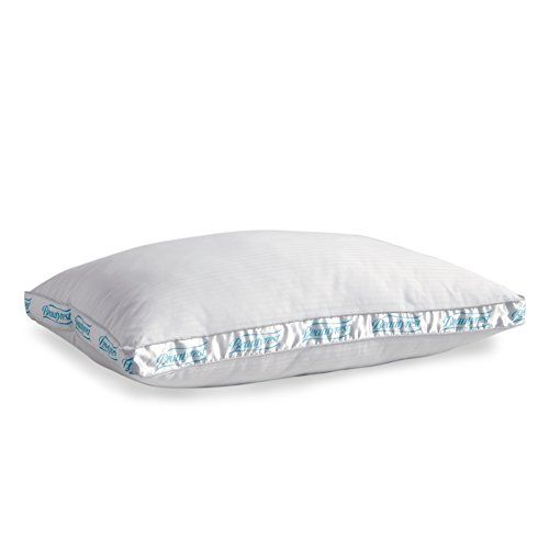 best extra firm pillow