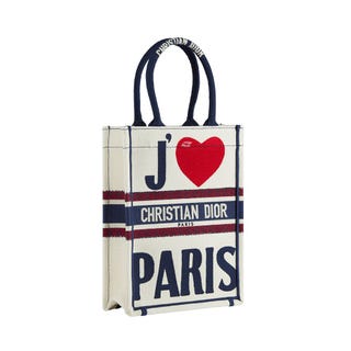 Vertical Dior Book Tote