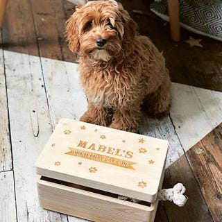 Personalised Pet Christmas Eve Box