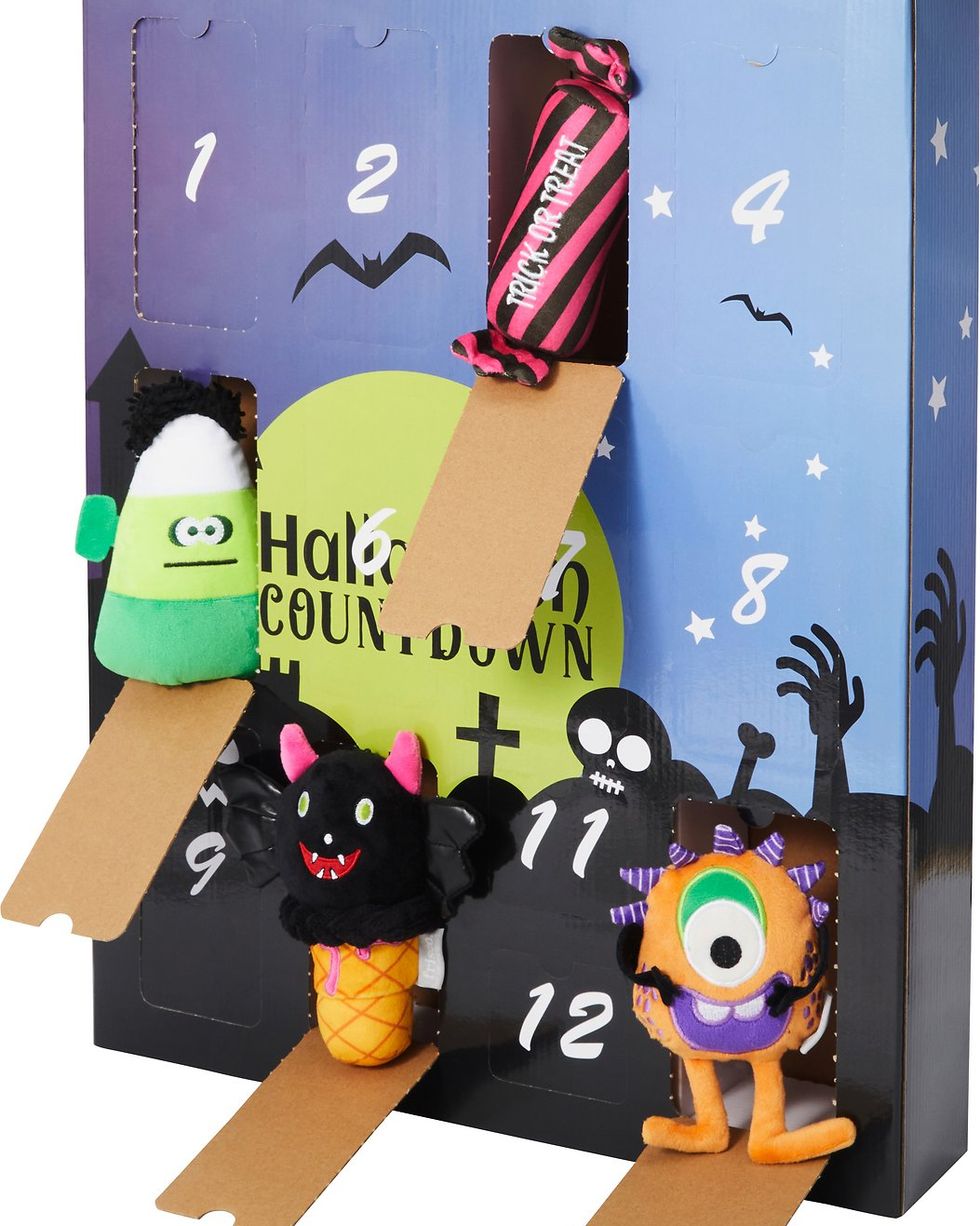 Frisco Halloween Advent Calendar with Toys for Dogs