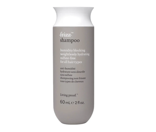 No Frizz Shampoo