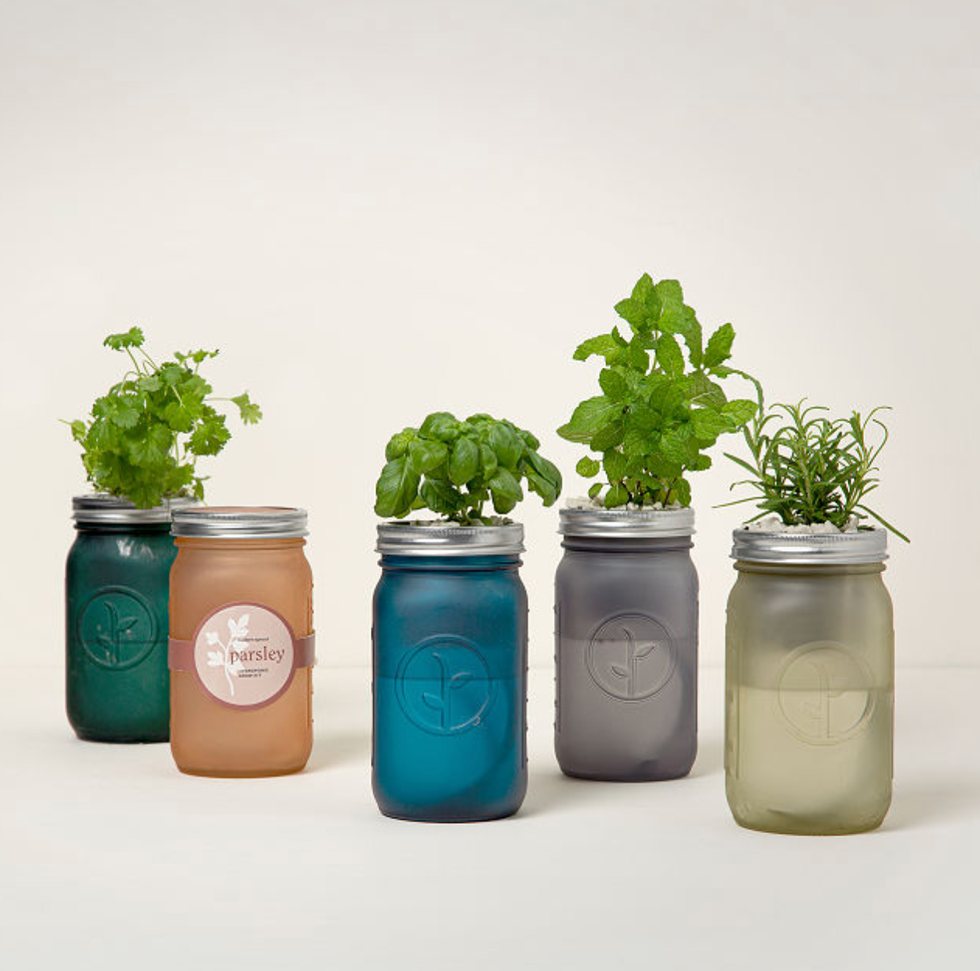 Mason Jar Indoor Herb Garden