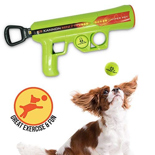 Downsize Fetch With This Mini Ball Launcher