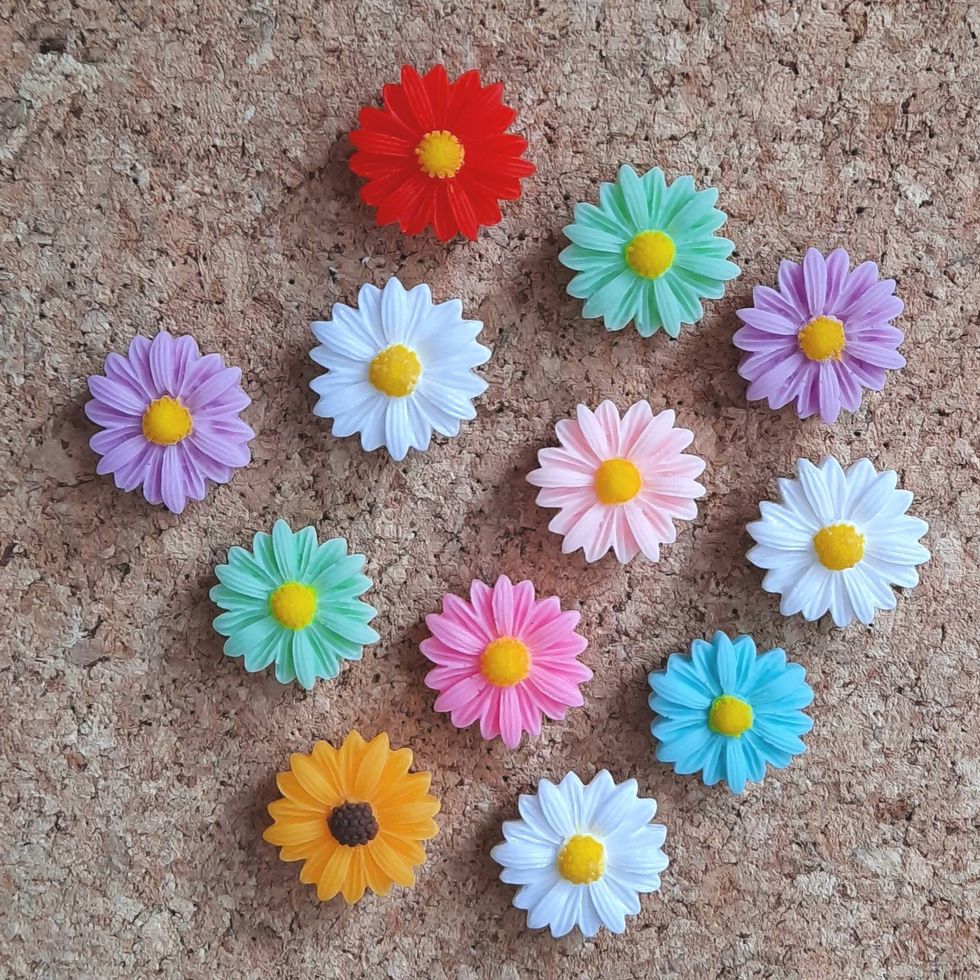 Colourful Daisy Push Pins