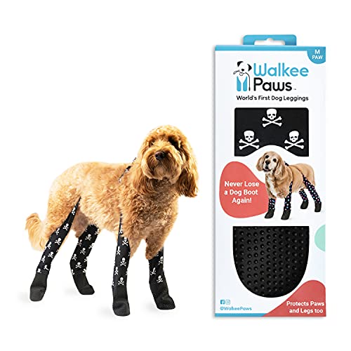 what to get someone who loves their dog