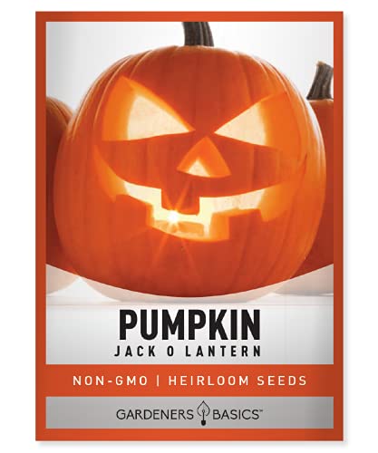Heirloom Pumpkin Seeds