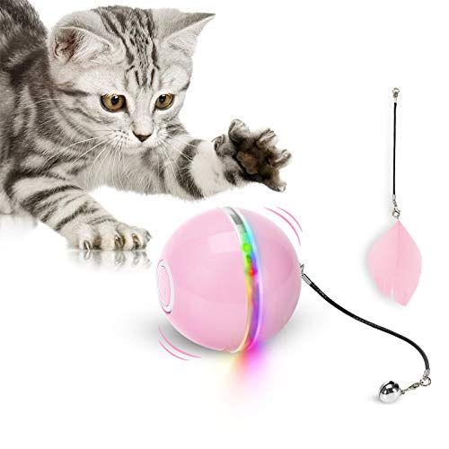 Bola de juguete para gatos