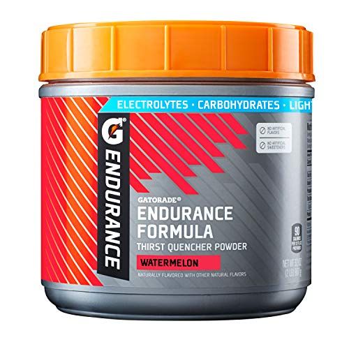 Gatorade Endurance Formula Powder