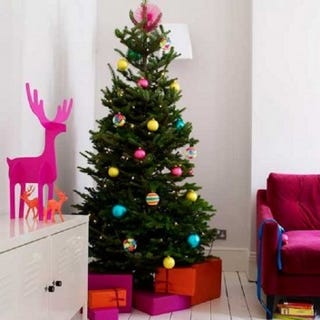 Nordmann Fir Christmas Tree - Fresh Cut Non-Drop Luxury Tree (approx 6ft) + Delivered 7th Dec - 12th Dec +