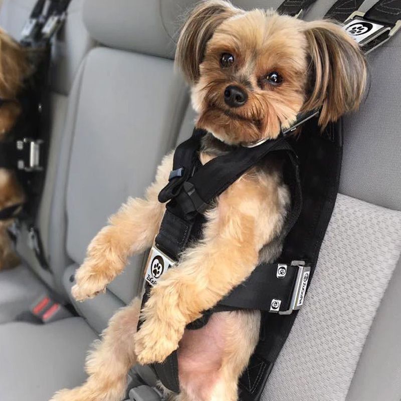 Crufts universal pet seat belt restraint dog car travel animal NEW