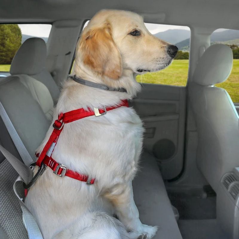 Dog Seatbelts for Cars Trucks Tether Belt for Small & Large Dogs Travel Active Pets Dog Car Harness 