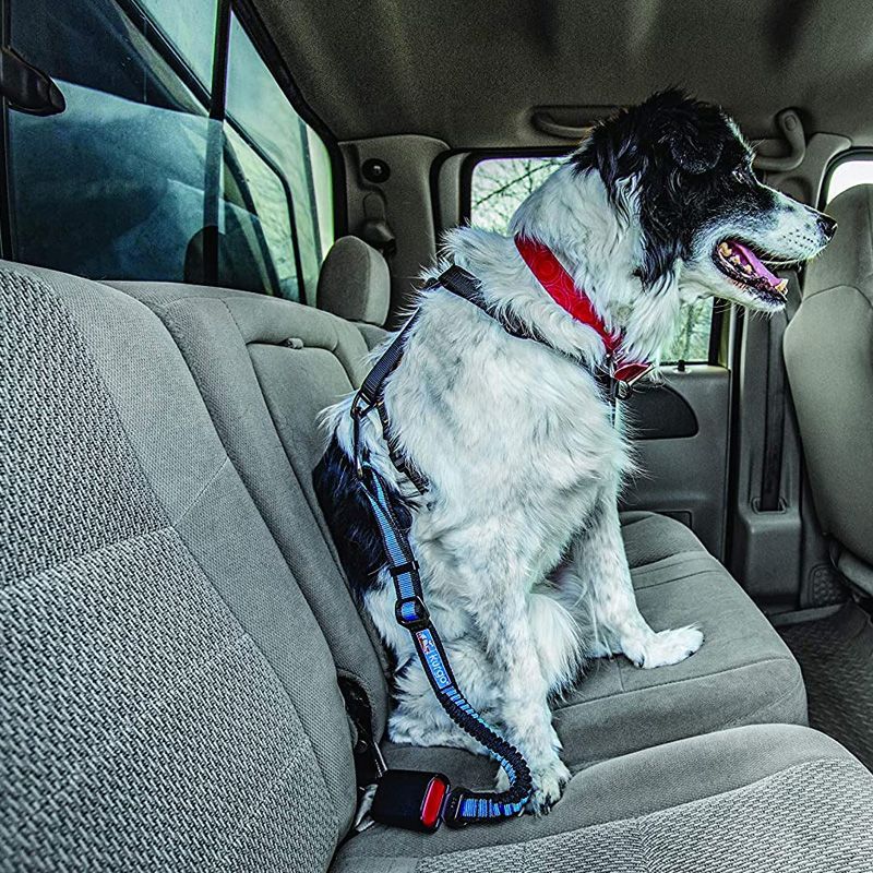 Dog car shop restraint system