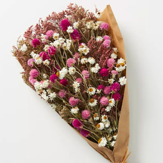 Dried Pink Daisies