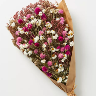 Dried Pink Daisies