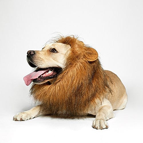 El Rey León