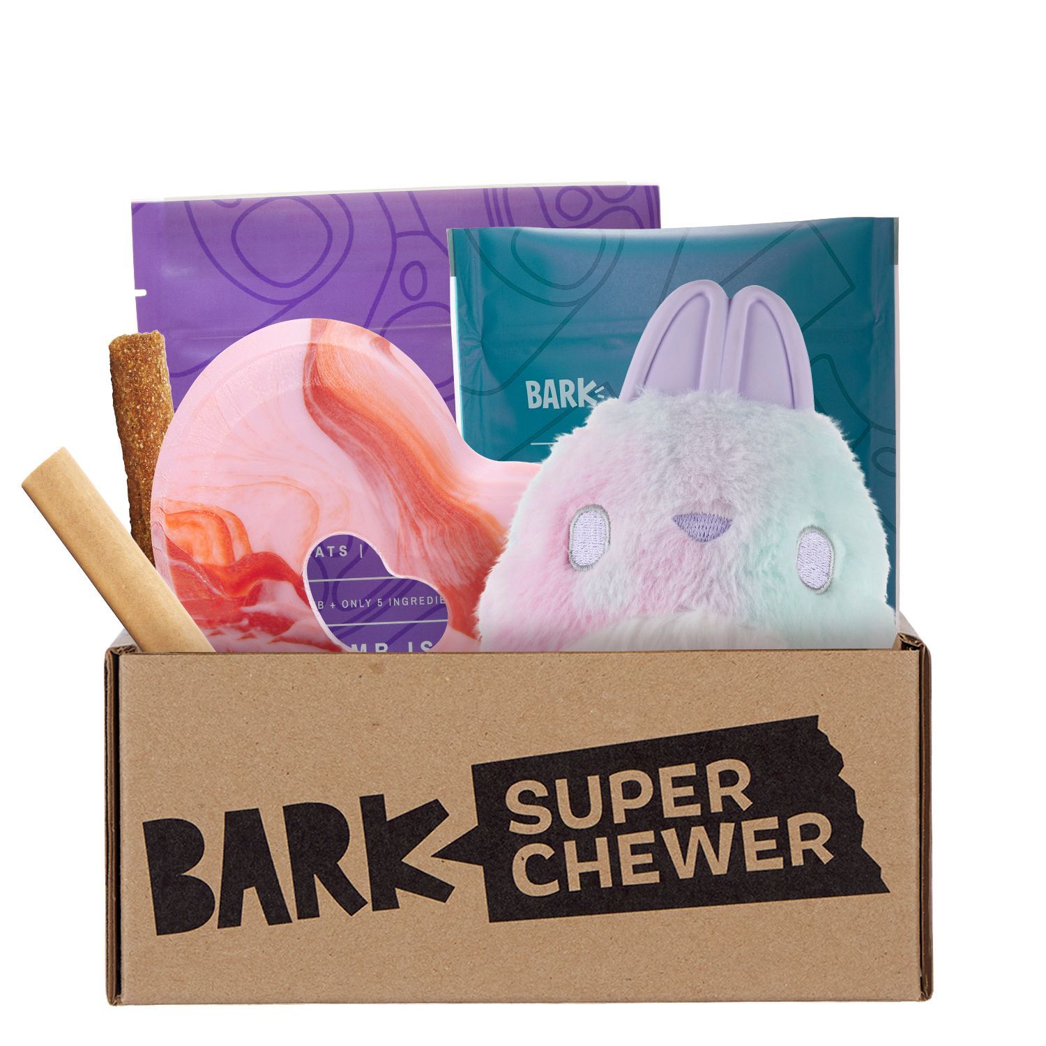 Best dog subscription store box for chewers